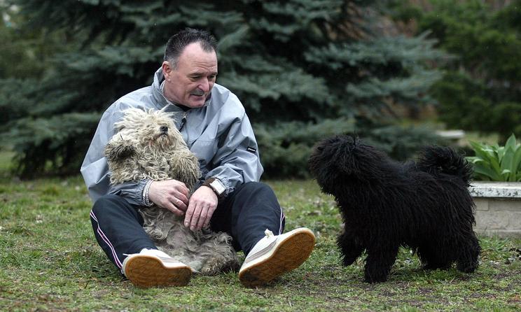 GIGA büntetést kapott Nagy Feró a KUTYÁI MIATT