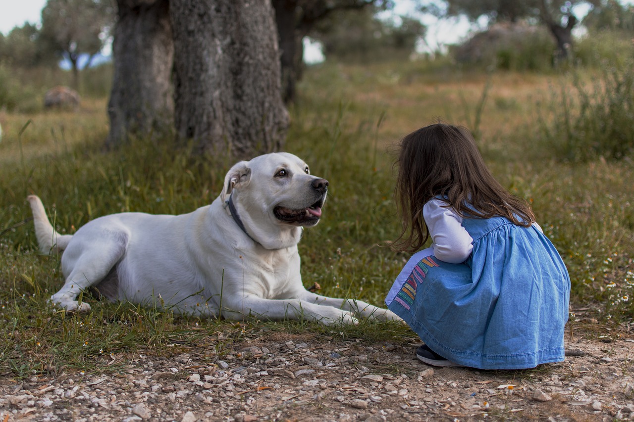 Ünnepeljük együtt az Állatok Világnapját - ÖLELD MEG a kutyád te is!